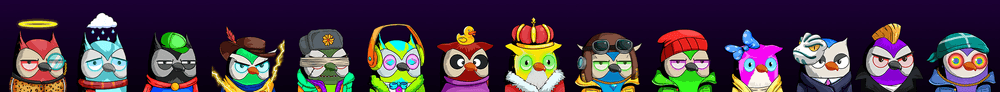 MoonBird Bro