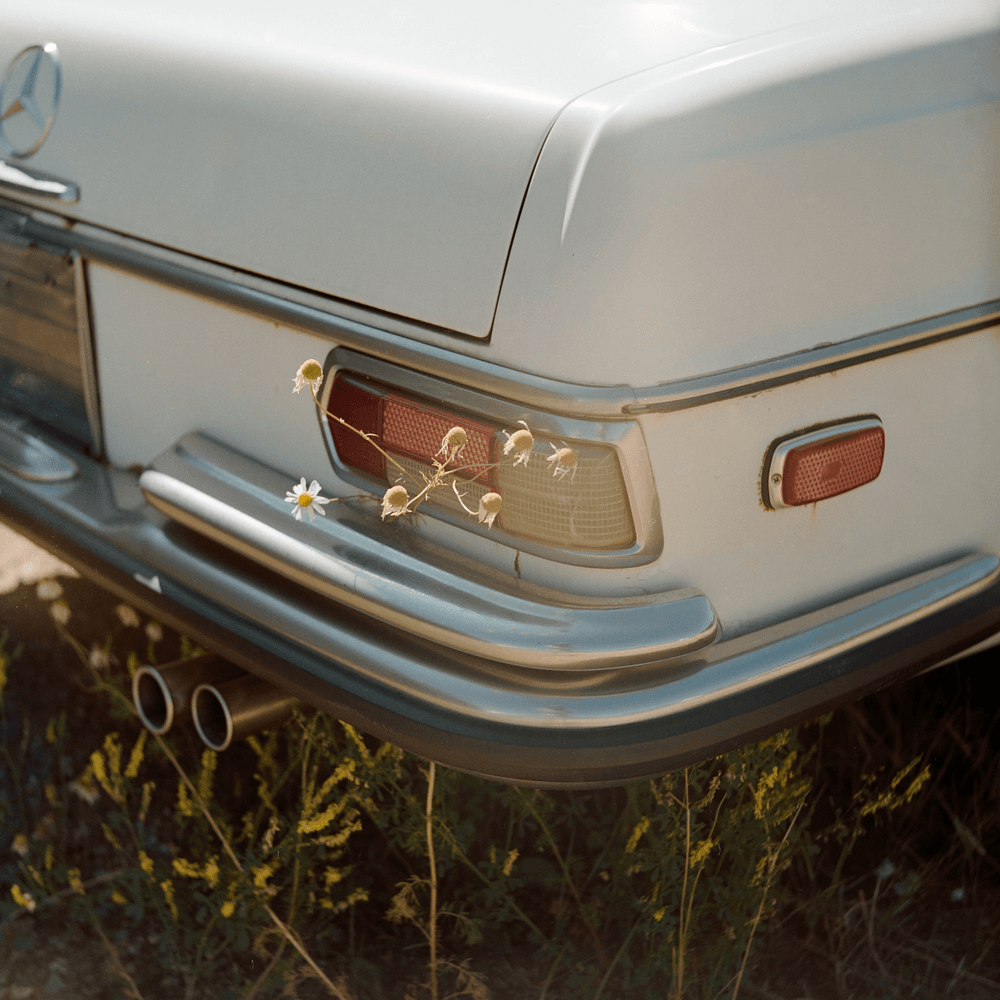 Editions by Nathan A. Bauman