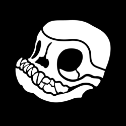 Bitcao Club
