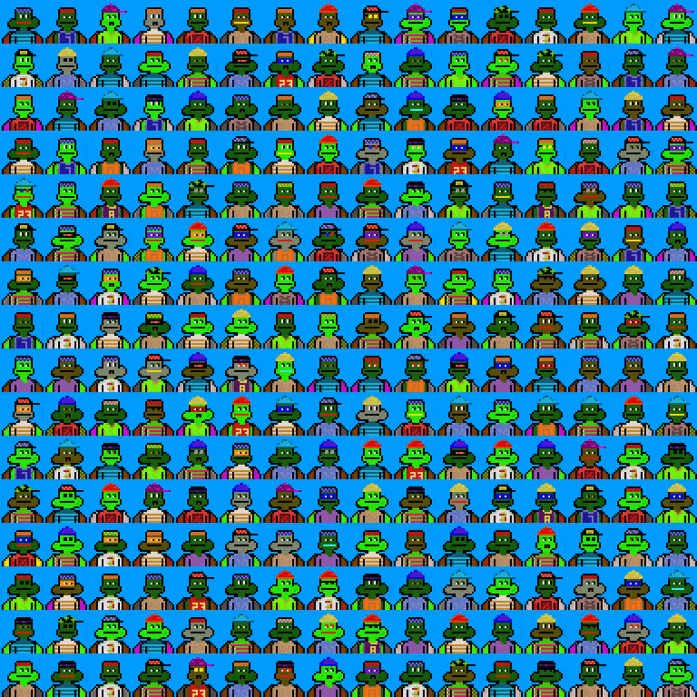 Block Turtles