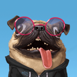 oDD BOi
