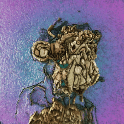 Ape Drops 04 : Falling Ape-Art