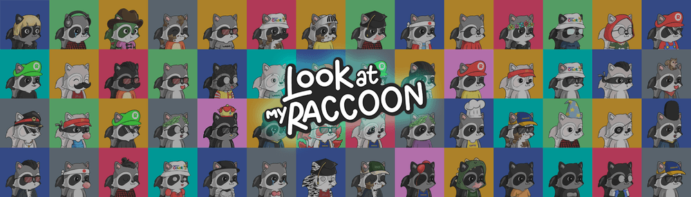 Look At My Raccoon