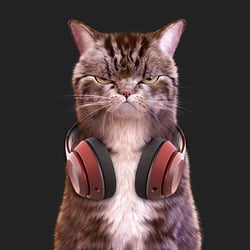 I'm a Kitty Cat NFT