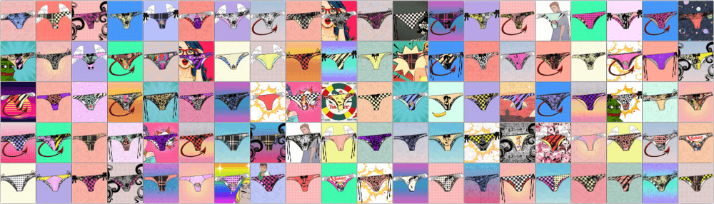PANTY RAID!