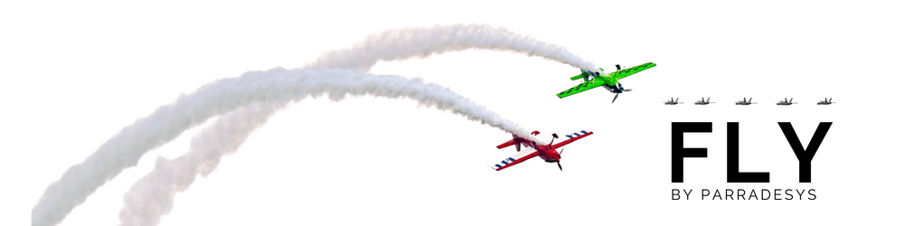 FLY by ParraDeSys