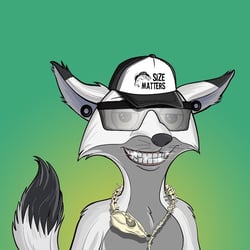 Spinal Foxes pin