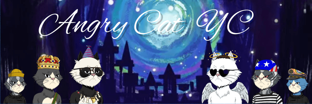 AngryCatYC