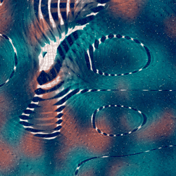 Melissa Wiederrecht - The Pull (FEMGEN with VerticalCryptoArt and RightClickSave)