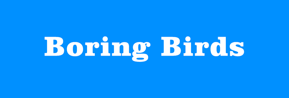 BoringBirds