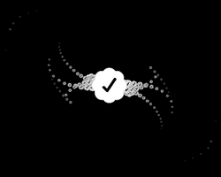 JKTN - DANCE CHECKS