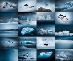Antarctica - The Last Continent by Dennis Schmelz