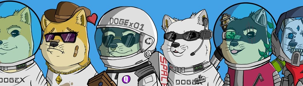 Official DogeX