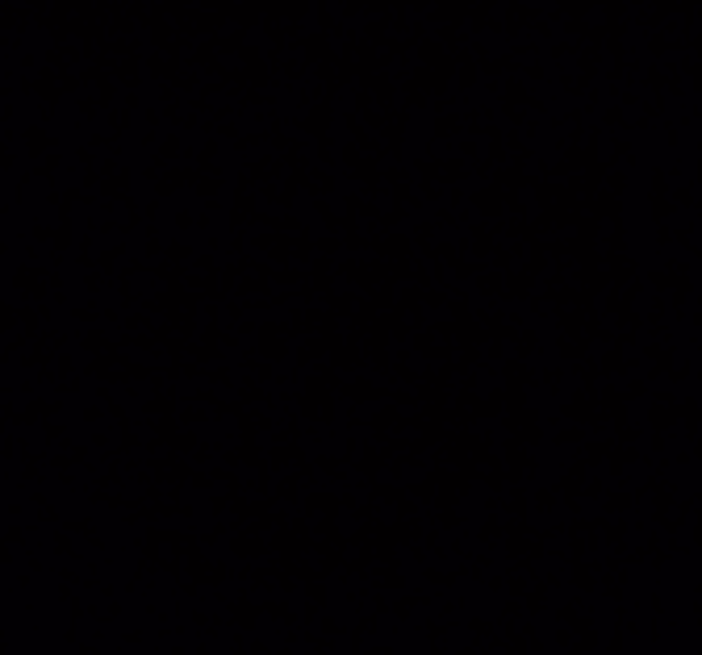 OgrBears.wtf
