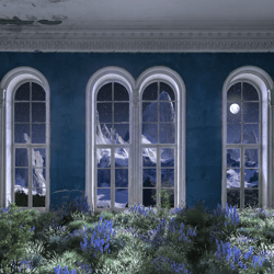 Collaborations - Ryan Koopmans