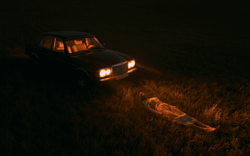 Cinematic perspective