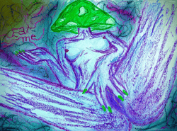 natrix 1155