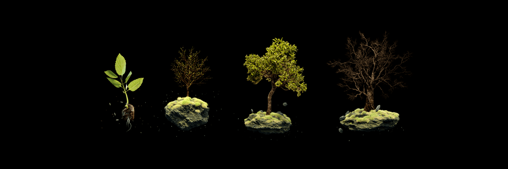 The Crypto Trees