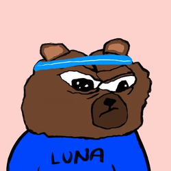 Bear Proof Bears