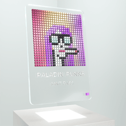 PALADIN PUNKS COLLECTIBLES