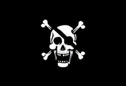 Pirate Hunters - Reimbursed in Full