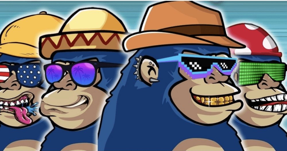 Blue Chimp