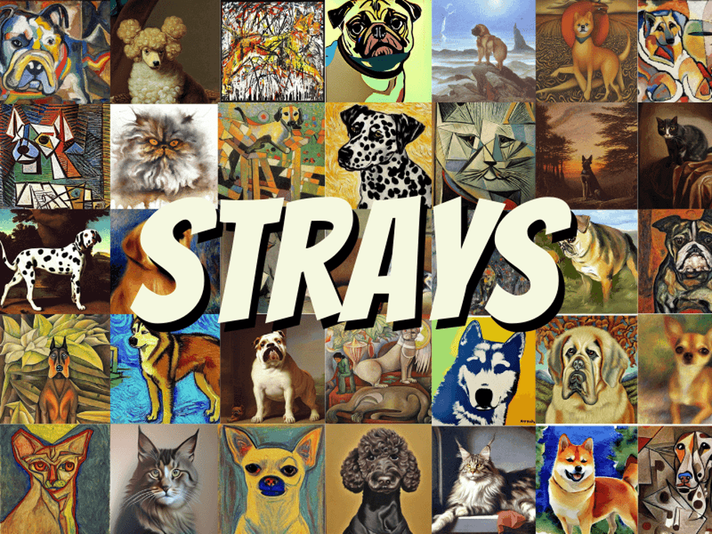 Strays