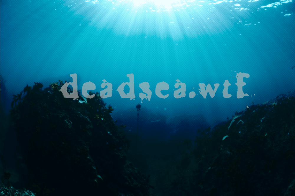 DeadSea.wtf