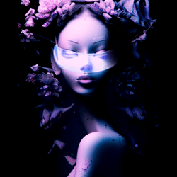 FLOWERS UNDER CRACKS