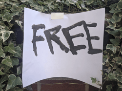 Free - steviep