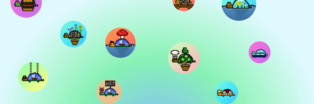 QwertyTurtles