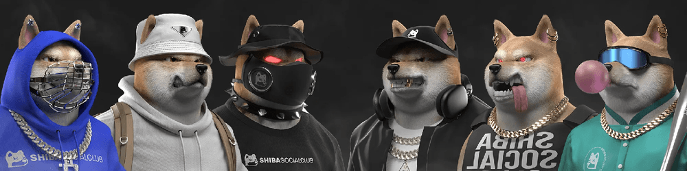 Shiba Social Club New Era Official NFTs