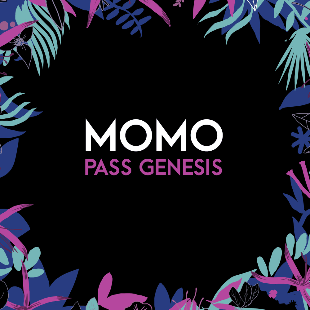 momo Pass (Out Of Commission)