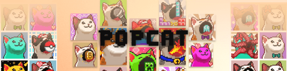 poopcat_official