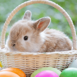 Easters Egg