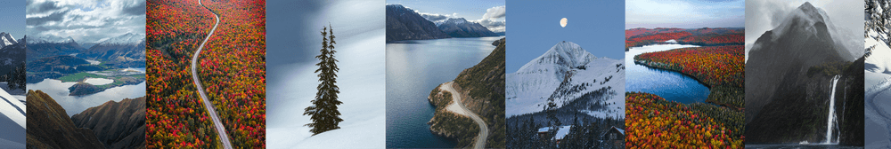 8 Week Editions by Chad Torkelsen