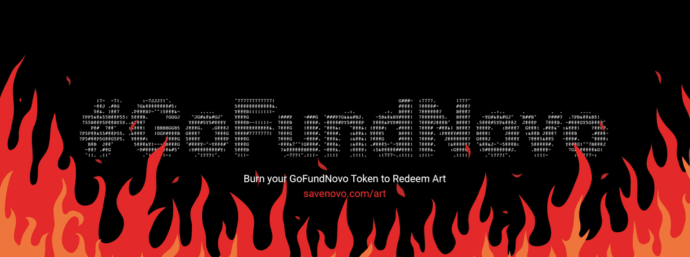 GoFundNovo
