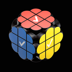 Rubik's Check