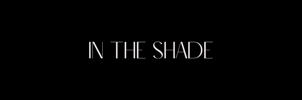 Lost In The Shade