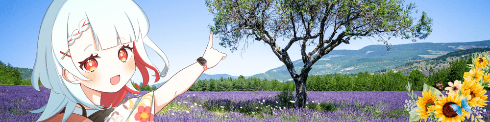 Traveler's Canvas