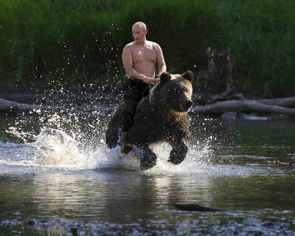 Vladimir Putin Digital Trading Cards