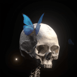 Memento Mori - oS3vrnRllN