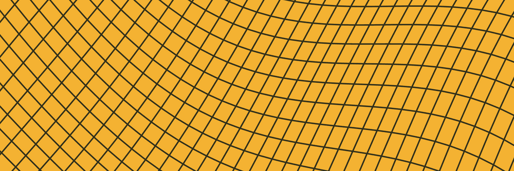 surgrid