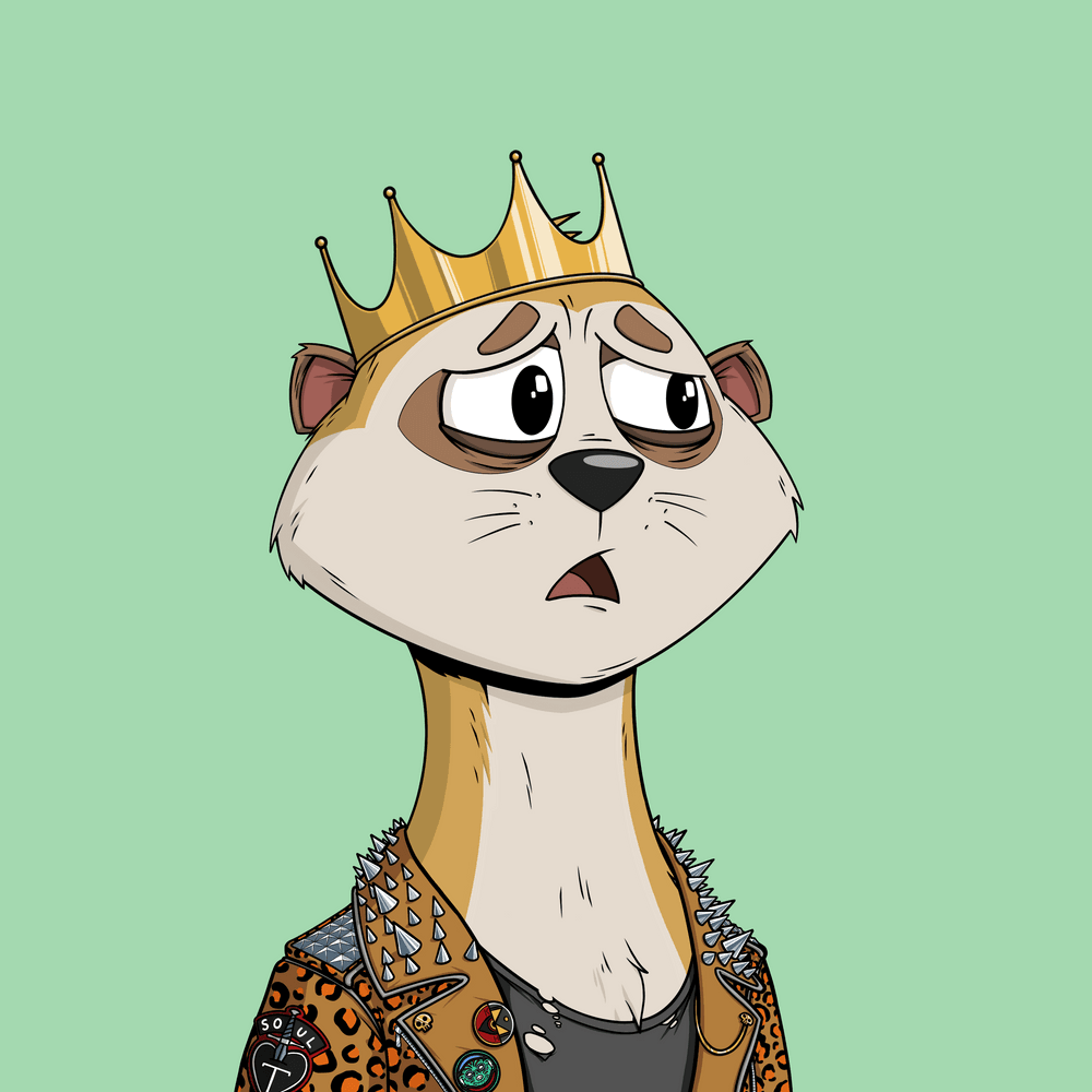 Worried Meerkat #316