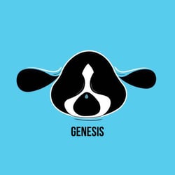 Bush Baby Club (Genesis)