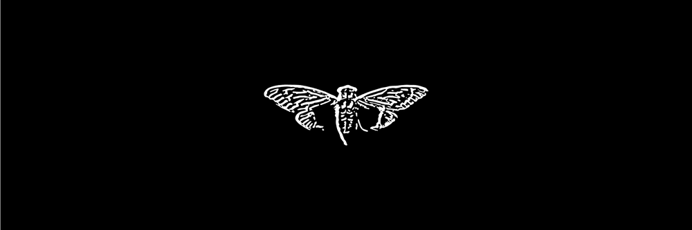 3301 Cicada