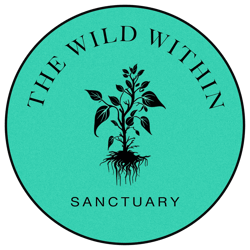 Sanctuary - Attendance Token