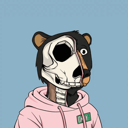 Anatomy Okay Bears