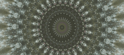 Qualia V4