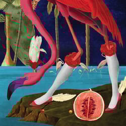 Birds of Solis by Varvara Alay